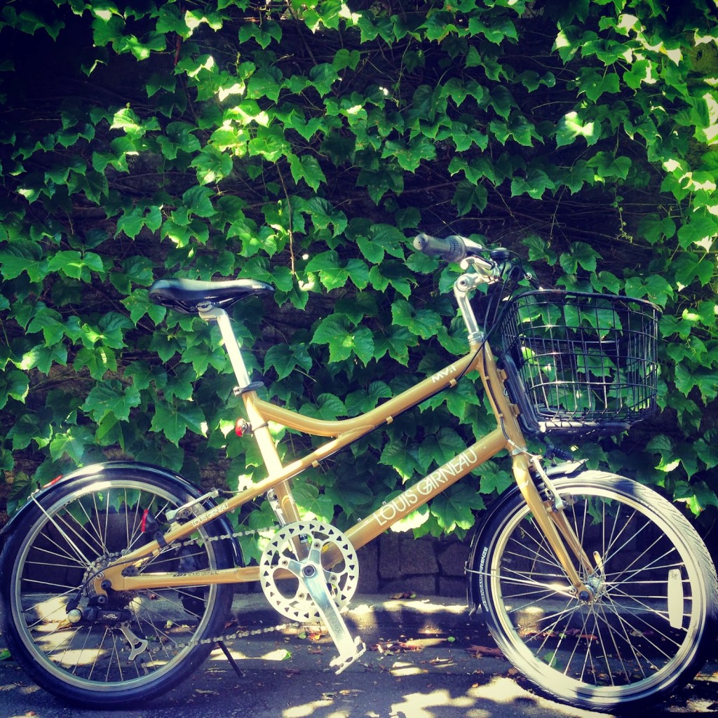 ゴシゴシキュッキュ