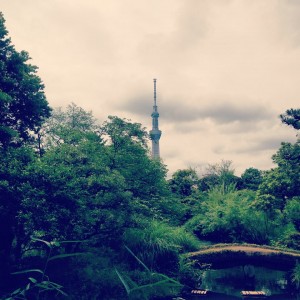 11391581_1606235656327444_3802280090379214668_n