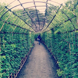 11401417_1606231859661157_2286054764973952200_n