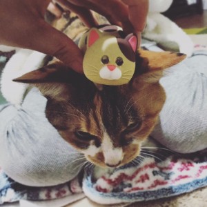 ちりんさんへ_2414