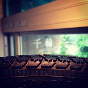 12135191_791942734269030_161935742_n