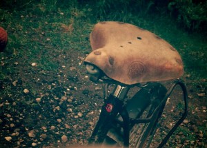 13254413_499580303567095_3692954294153023256_n