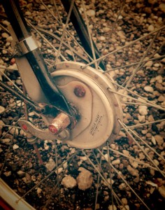 13254431_499580333567092_8063071370837930822_n