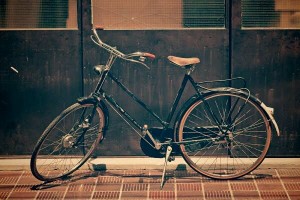 13321844_499580246900434_272355276538279647_n