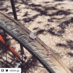 4299FDC6-34E2-4E4E-9477-745B71C64460