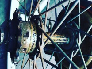 52594432_2216750661750757_1175804428934971392_n