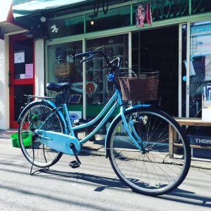 52846952_2230996253659531_4623401645533822976_n