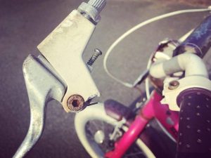 54256869_2261880123904477_3823692096661880832_n