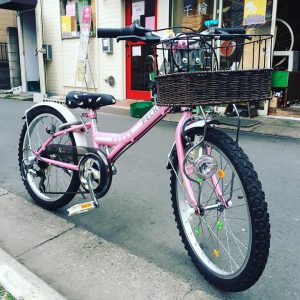 54517753_2265675256858297_813598429430153216_n