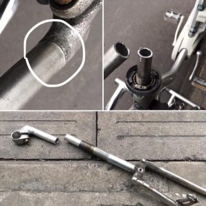 55545321_2277381029021053_4579492064563036160_n