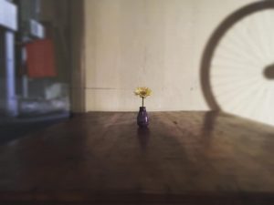 55924146_2275357092556780_3719495421261774848_n