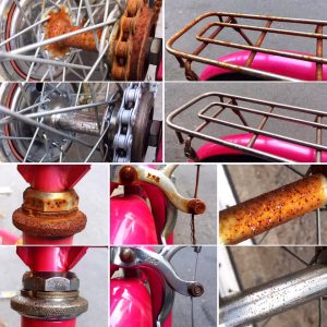 64737659_2419041571521664_3710646208084049920_n