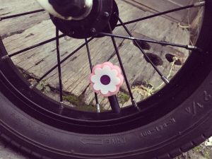 65161671_2425702977522190_3946272567823695872_n