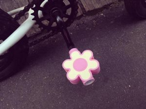 65176486_2425702974188857_9067650824942911488_n