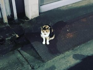 67587889_2486788958080258_1594467962524270592_n