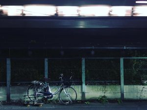 67824820_2486788831413604_9041813177863503872_n