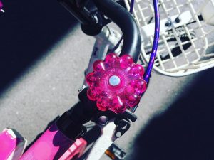 70279643_2567937053298781_7509368348434497536_n