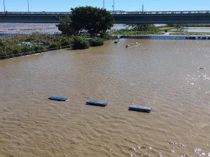 71963884_2640191116073374_5058200392001650688_n