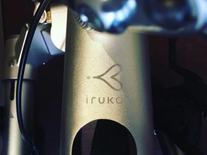 72146139_2624315960994223_391739517482041344_n