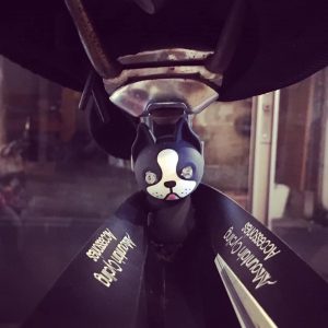 78543356_2766853136740504_1519188885316304896_n