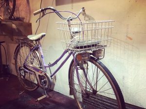 78729146_2745203802238771_6043129984606797824_n