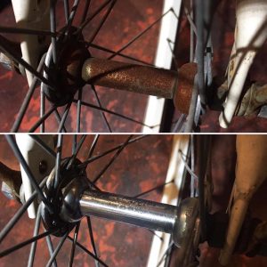 79666158_2788025291289955_1433561080113659904_n