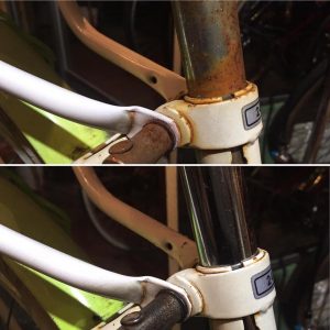 79952288_2788025351289949_30668673538588672_n