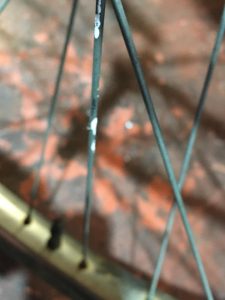 81196632_2830403283718822_8360805469807181824_n