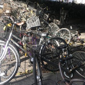 91663949_3029845380441277_4960345416202715136_o