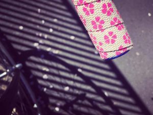 93579001_3068245026601312_4796485589157281792_n